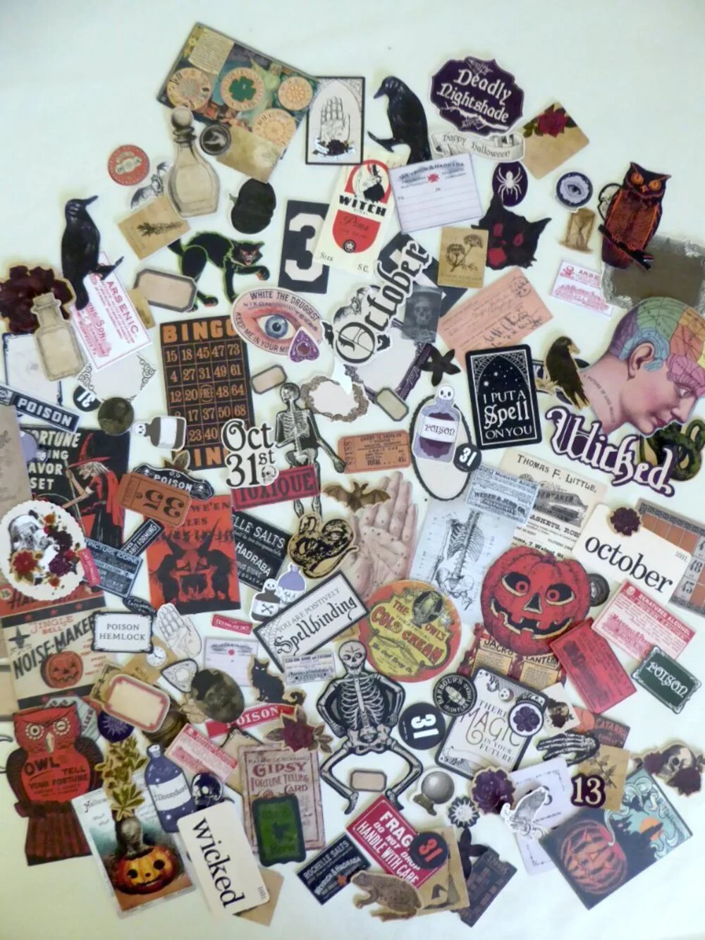 Tim Holtz new never